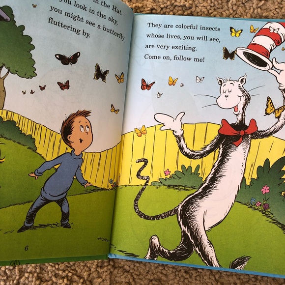 De Seuss Cat in the Hat. My oh my - a butterfly! - Picture 2 of 9